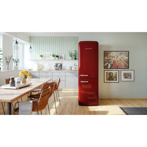 Холодильник Gorenje ONRK619DR: Тип холодильник двухкамерный