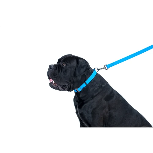 Поводок WAUDOG Waterproof, светящийся 25 мм 122 см голубой (27232) фото 7