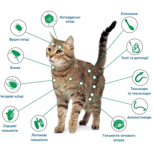 Капли NexGard Combo от блох, клещей и гельминтов для котов 0.8-2.5 кг 1 пипетка: Страна производитель Германия