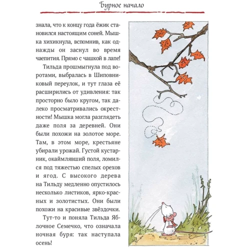 Андреас Шмахтл: Тильда Яблочное Семечко. Чудесные истории из переулка, где растёт шиповник: Обложка Твердая