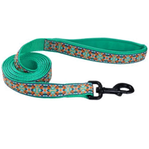 Повідець Coastal Ribbon Weave Leash для собак темно-бірюзовий з кісточками 2.5смх1.8 м (55195)