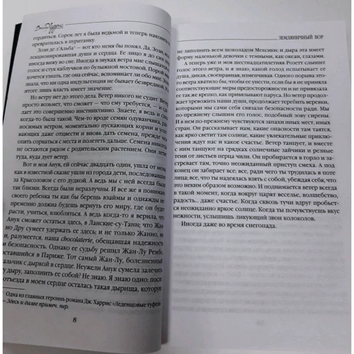 Джоанн Харрис: Земляничный вор: Количество страниц 384