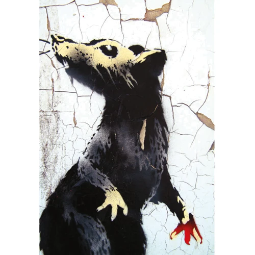Ґері Шов, Патрік Поттер: Banksy. Ви стаєте загрозою прийнятного рівня (Якби було не так, ви вже про це знали): ISBN 978-617-8025-47-2