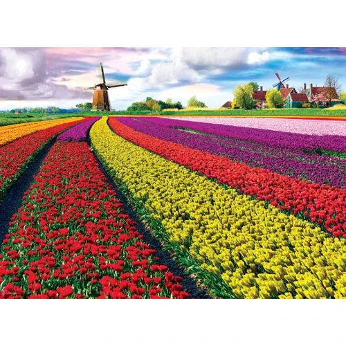 Пазл Eurographics Поле тюльпанів в Нідерландах, 1000 елементів (6000-5326): Виробник EuroGraphics