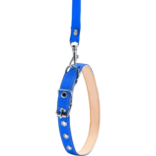 Ошейник с поводком Collar капроновый 14 мм 25-33 см синий (05482): Производитель Collar