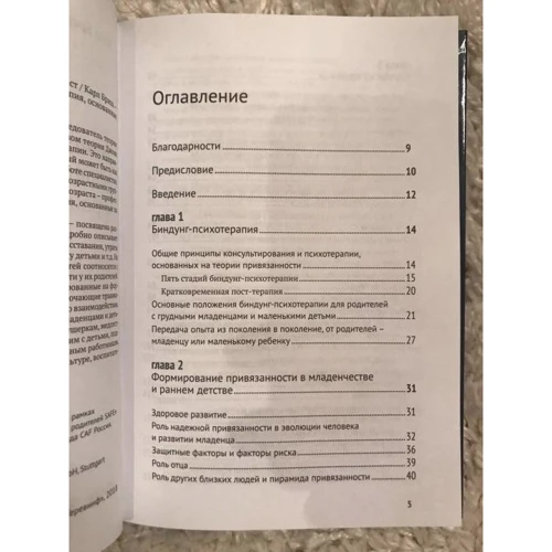 Карл Бріш: Біндунг-психотерапія. Дитинство і ранній вік: Обкладинка Тверда