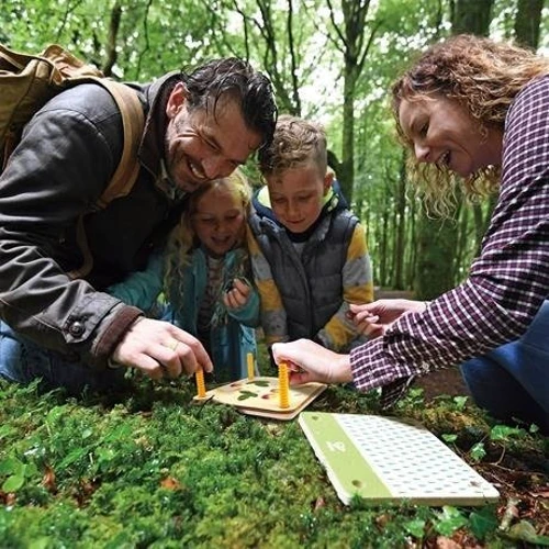 Пресс для цветов Hape Nature Fun Гербарий с красками (E5574) фото 5