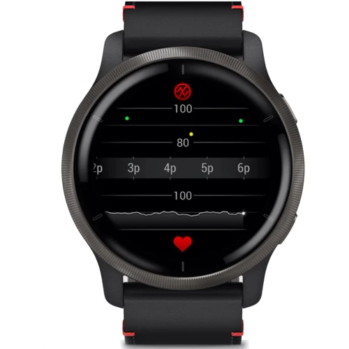 Смарт-часы Garmin Venu 2 Slate Stainless Steel Bezel with Black Case and Leather Band (010-02430-21): Карты памяти нет