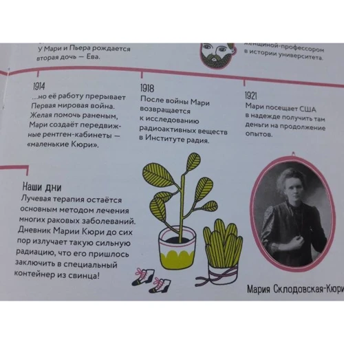 Изабель Томас: Маленькие истории о великих людях. Мария Кюри: Жанр Познавательная литература
