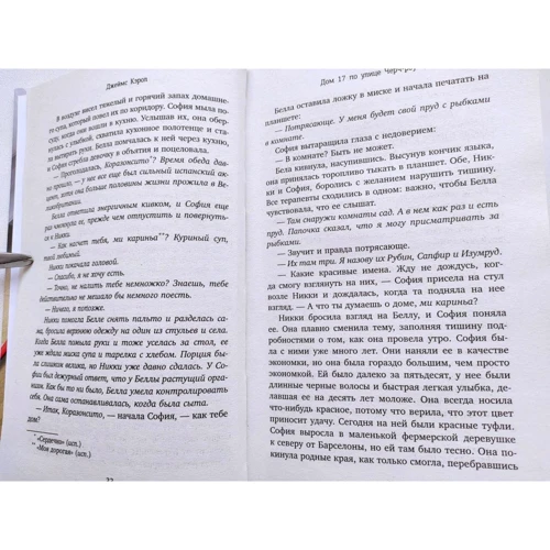Джеймс Керол: Будинок 17 по вулиці Черч-роу: Кількість сторінок 384