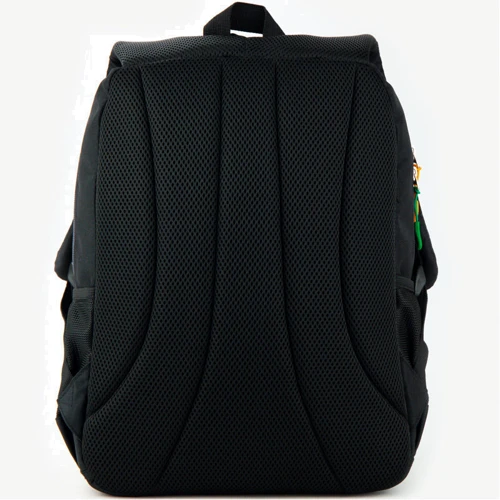 Рюкзак GoPack Education 113-7 Dino go20-113m-7: Пол ребенка Для мальчиков