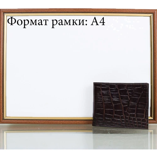 Мужское портмоне Canpellini темно-коричневое (SHI1409-11): Тип Портмоне