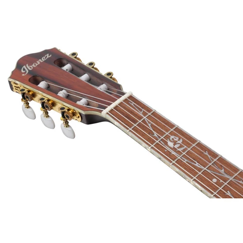 Гітара класична IBANEZ TOD10N-BKF: Кількість струн 6