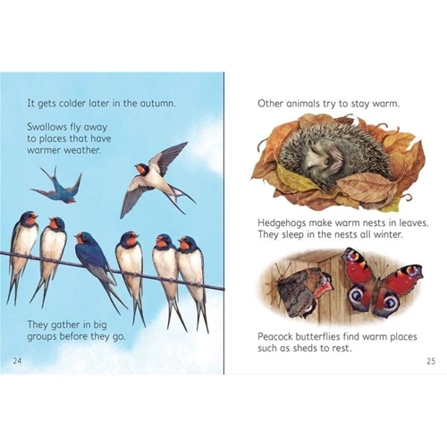 Seasons / Пори року: Производитель Usborne