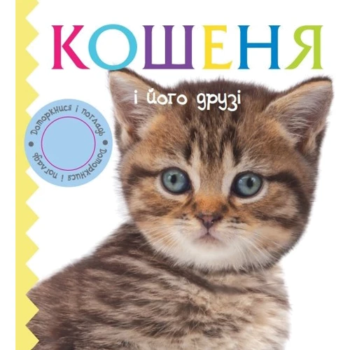 Кошеня і його друзі