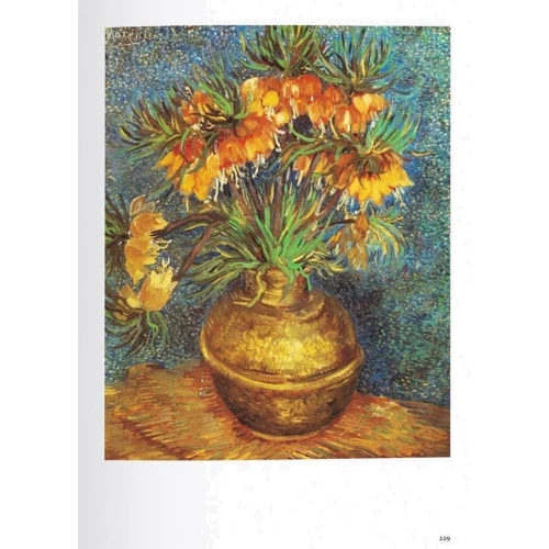 Vincent van Gogh: The Complete Paintings: Жанр Искусство и фотография