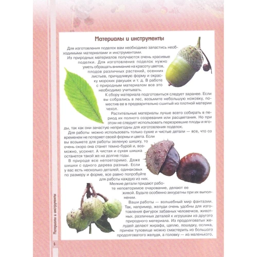 Большая книга поделок из природных материалов: Количество страниц 224