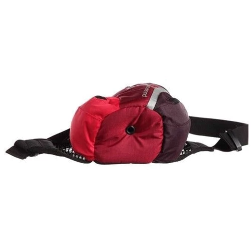 Сумка Deuter Pulse One цвет 5005 cranberry-aubergine (39070 5005): Объем 0.5 л