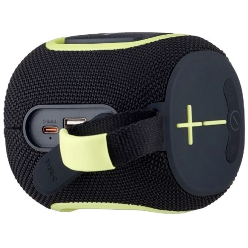 Акустика Hopestar P66 Black: Тип портативная