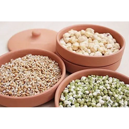 Глиняні горщики для пророщування Hawos Toni Clay Sprouter