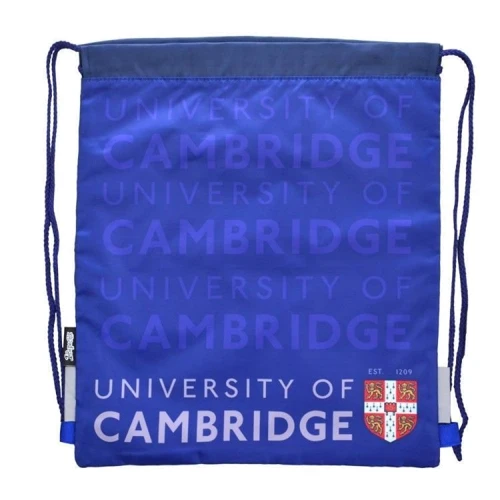 Сумка для обуви YES SB-10 Cambridge (555325)