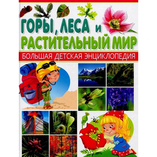 

Горы, леса и растительный мир