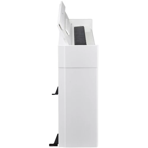 Цифрові піаніно YAMAHA ARIUS YDP-S55 (White)