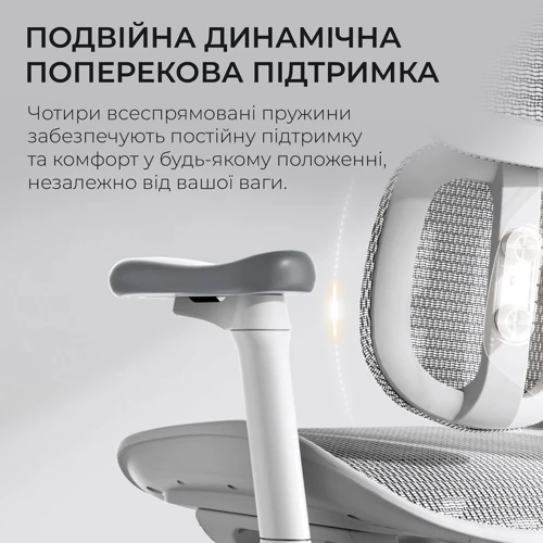 Офисное кресло Sihoo DORO S100 Mesh White (S100-M302)