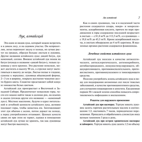 Целебный лук: Обложка Мягкая