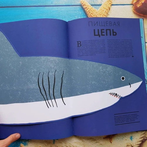 Элен Дрювер: Океан: ISBN 978-5-00146-042-8