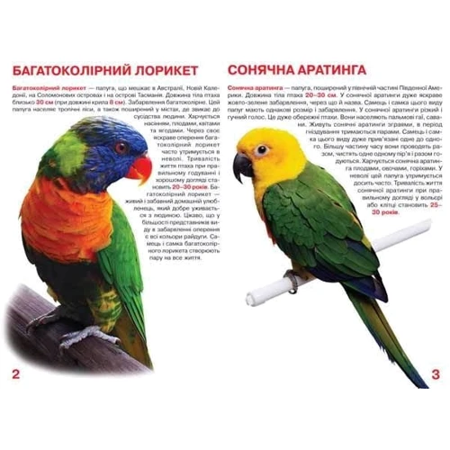 Велика книжка. Папуги: Производитель БАО