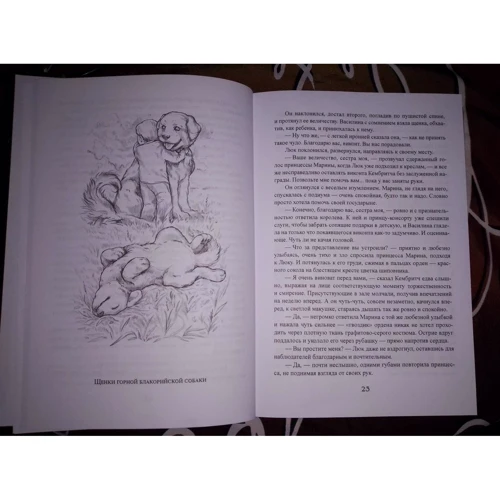 Ірина Котова: Королівська кров. Книга четверта. пов'язані долі: Обкладинка Твердая