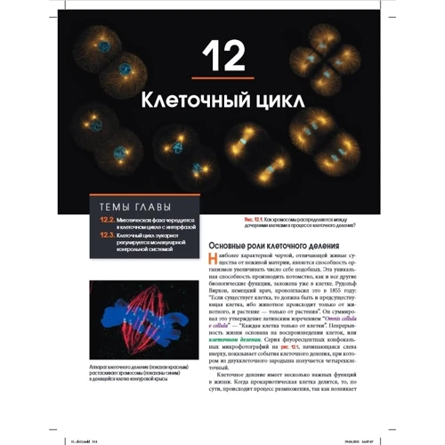 Біологія Campbell. Том 1. Хімія життя. Клітка. Генетика. повнокольорове видання: Виробник Вильямс