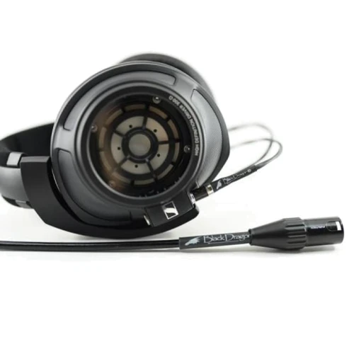 Навушники Sennheiser HD820 (507435): Тип кріплення оголовние