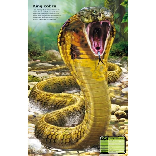 Build Your Own Deadly Animals / книга с наклейками Создайте своих смертоносных животных: Производитель Usborne