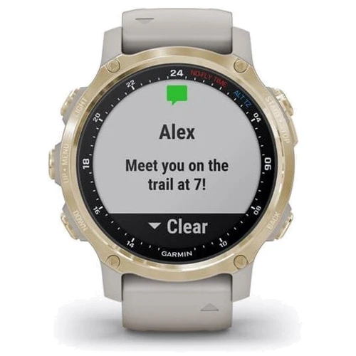 Смарт-годинник Garmin Descent Mk2S Light Gold with Light Sand Silicone Band (010-02403-01): Карти пам'яті немає