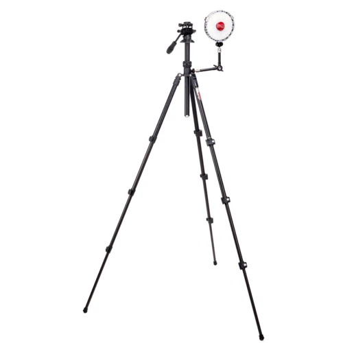 Legged Thing Punks Patti 2.0 Matte Black (PATTIVIDEODARK2.0): Вес 1.72 кг