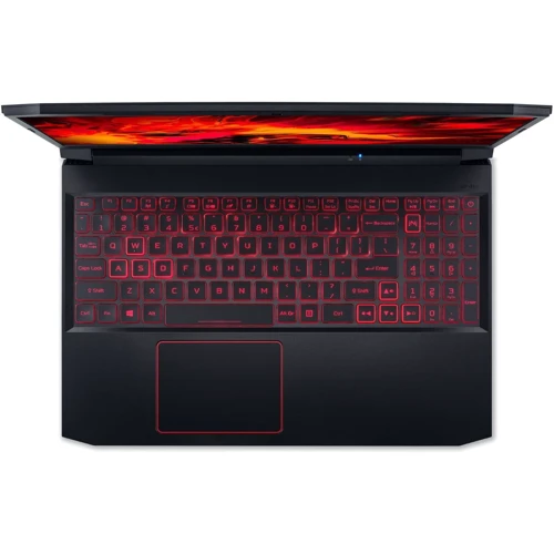 Ноутбук Acer Nitro 5 AN515-55 (NH.QB0AA.011): Тип екрану матовый