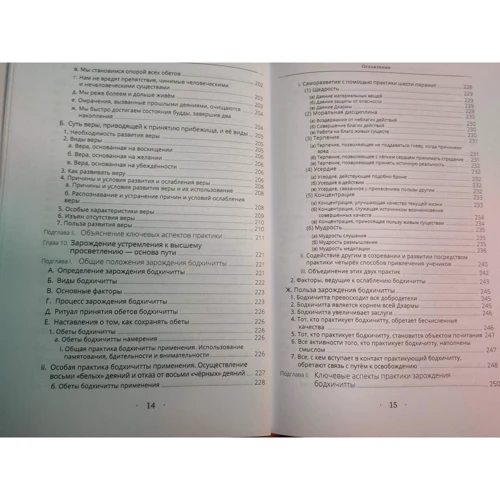 Дудж Рінпоче: Світильник, що опромінює шлях до звільнення: Кількість сторінок 424