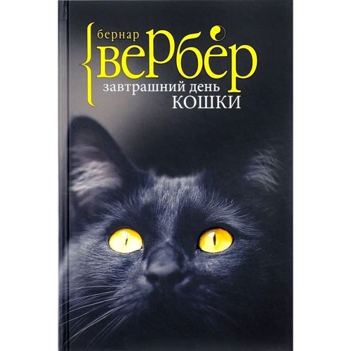 Завтрашний день кошки