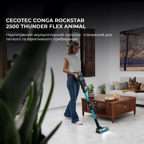Пилосос Cecotec Conga Rockstar 2500 Thunder Flex Animal (CCTC-08427): Тип пилососа ручной (вертикальный)