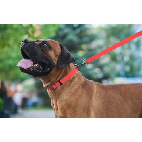 Поводок WAUDOG Waterproof, светящийся 25 мм 183 см красный (27223) фото 7
