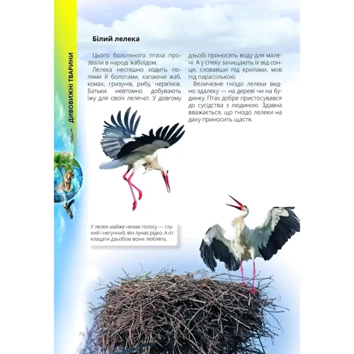 К. В. Шаповалова: Про все на світі маленьким українцям: ISBN 978-966-989-045-0