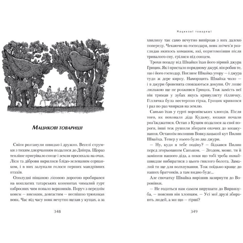 Джури козака Швайки: Кількість сторінок 334