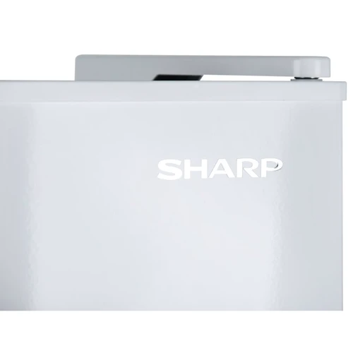 Холодильник Sharp SJ-TB01ITXW1-UA: Тип xолодильник двухкамерный
