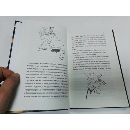 Джеймс Боуен: Подарунок вуличного кота: Виробник Рипол Класик