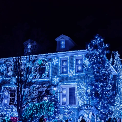 Гирлянда уличная (наружная) Springos 18 м 300 LED CL0327 Blue фото 10