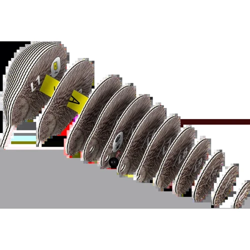 Сборная 3D модель Eugy Зоопарк: Киви (XEG-001)