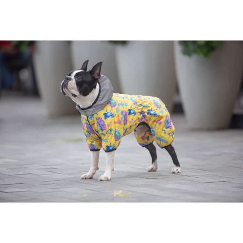 Комбинезон для собак WAUDOG Clothes рисунок Рик и Морти 3 M35, В 59-62 см, С 37-40 см: Размер M 35