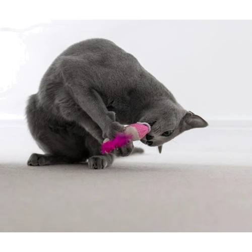 Игрушка для кошек Petstages Dental Shrimpies 2pk Mlt Дентал Креветки с кошачьей мятой 2 шт (pt67836) фото 1